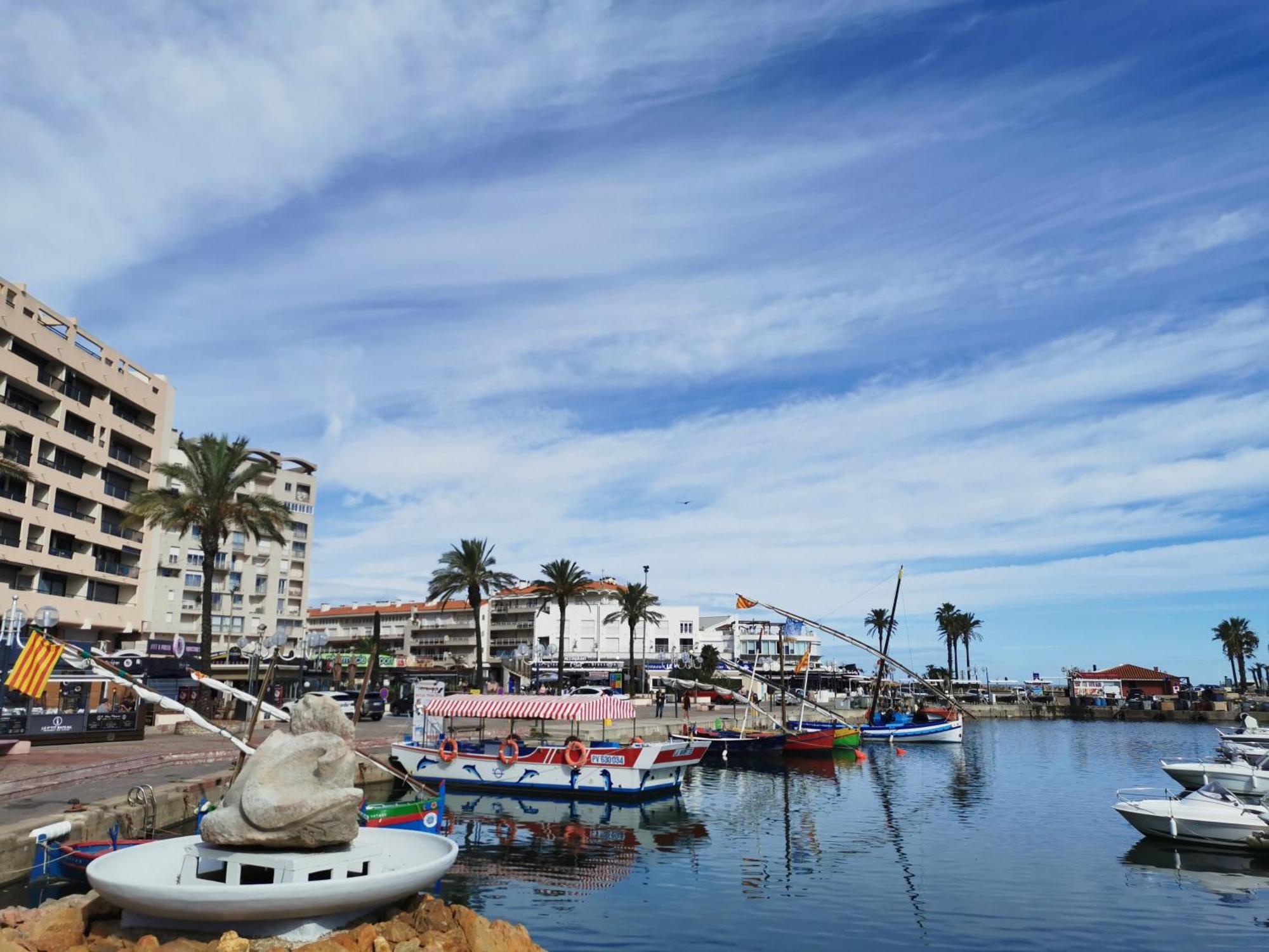 Appartement Refait A Neuf, Climatise Avec Vue Mer Et Montagne, Avec Place De Parking Privative Saint-Cyprien  Dış mekan fotoğraf