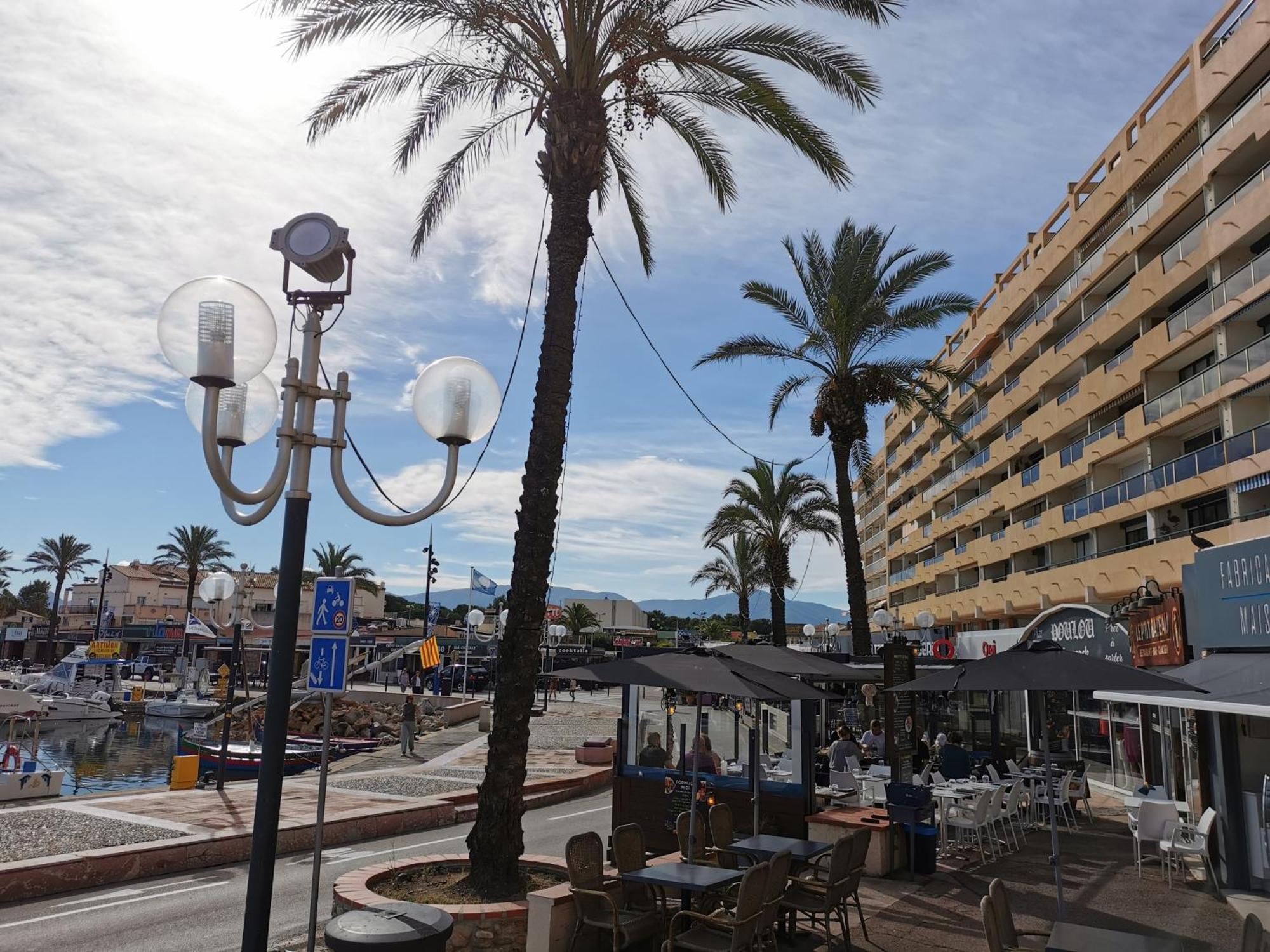 Appartement Refait A Neuf, Climatise Avec Vue Mer Et Montagne, Avec Place De Parking Privative Saint-Cyprien  Dış mekan fotoğraf