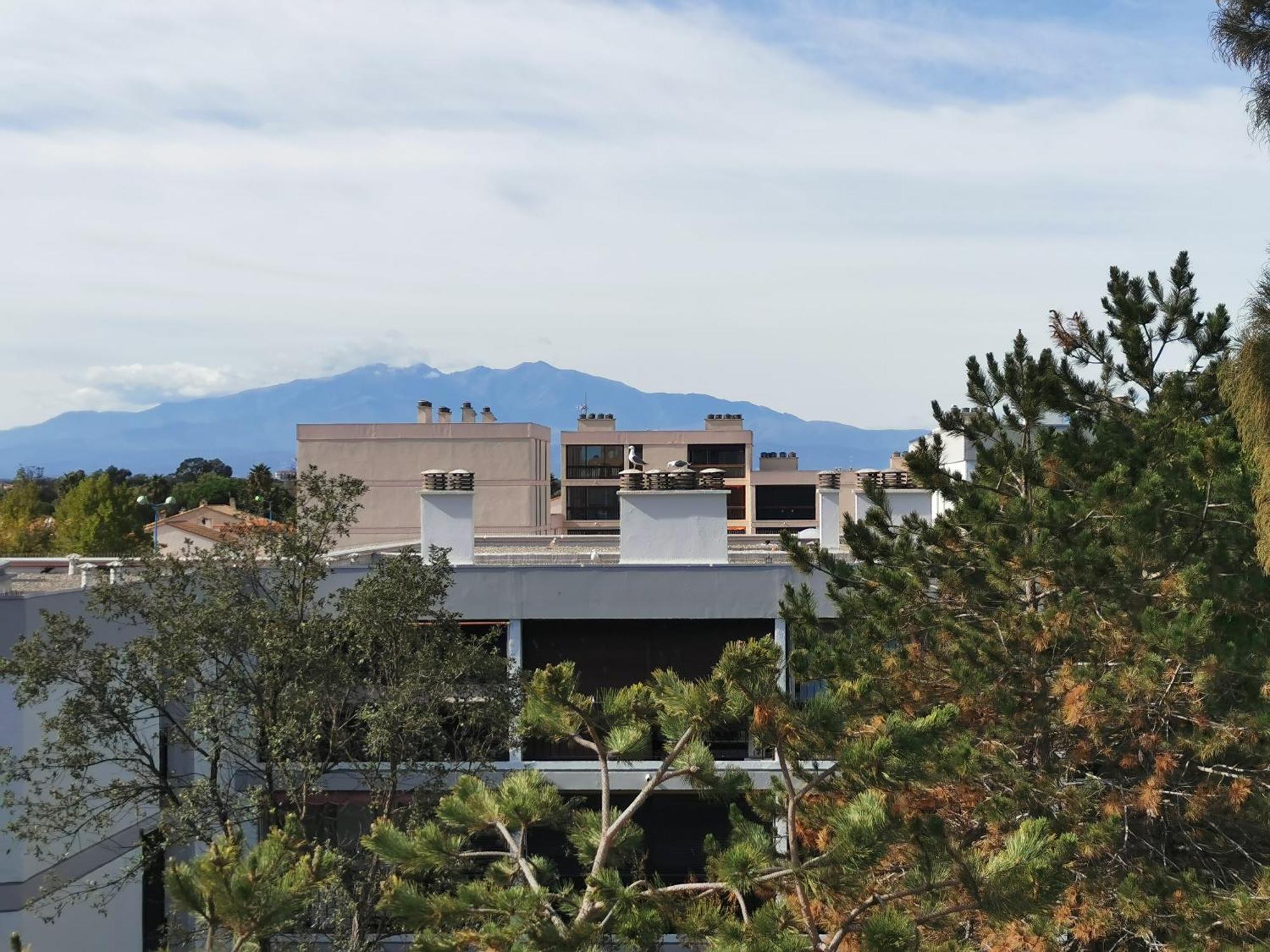 Appartement Refait A Neuf, Climatise Avec Vue Mer Et Montagne, Avec Place De Parking Privative Saint-Cyprien  Dış mekan fotoğraf